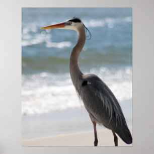 Póster Heron on the Beach Profile Color 16x20