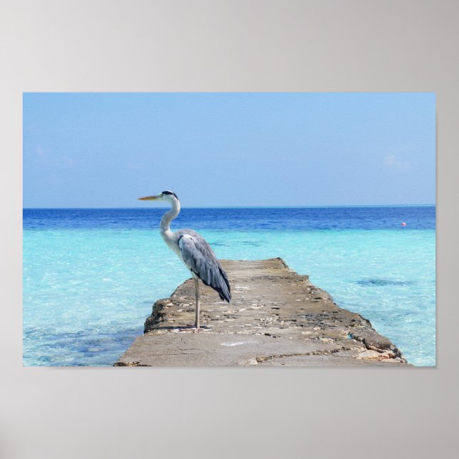 Póster Heron Sea Bird (Frente)