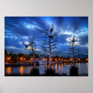 Póster Herones costeros