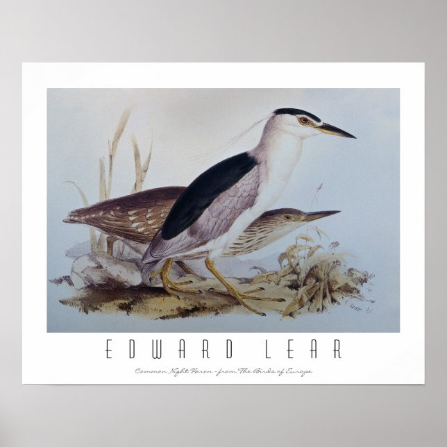 Póster Herones de la noche (Frente)