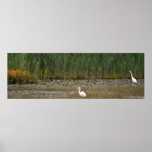 Póster Herones en el Poster de los pantanos