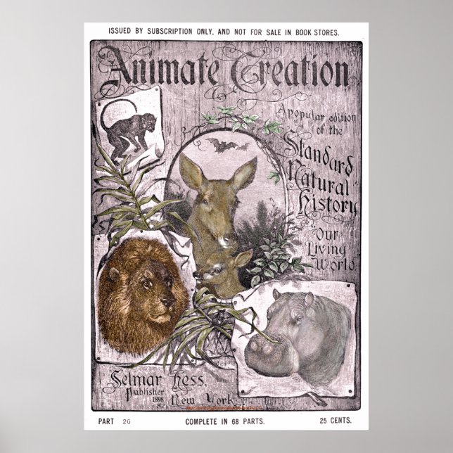 Póster "Hess de la época-selmar -1898-Creación de animale (Frente)