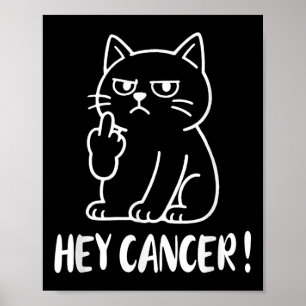 Póster Hey Cáncer M HDP Meme Divertido Gato Dedo Medio Jd