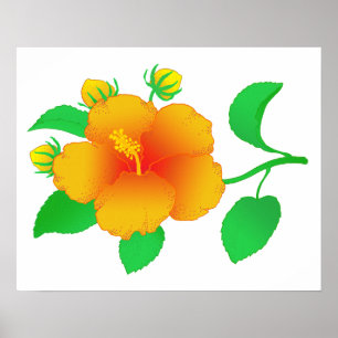Póster Hibisco