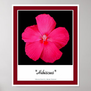 Póster Hibisco