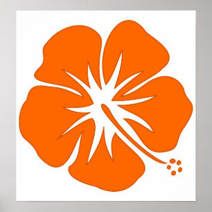 Póster Hibisco anaranjado