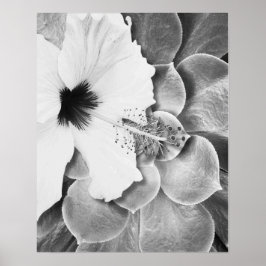 Póster Hibisco Blanco y Negro