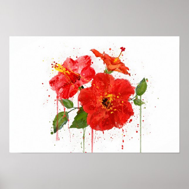 Póster Hibisco Rojo (Frente)