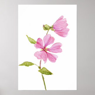 Póster hibisco rosa moscheutos, malva real de pantano