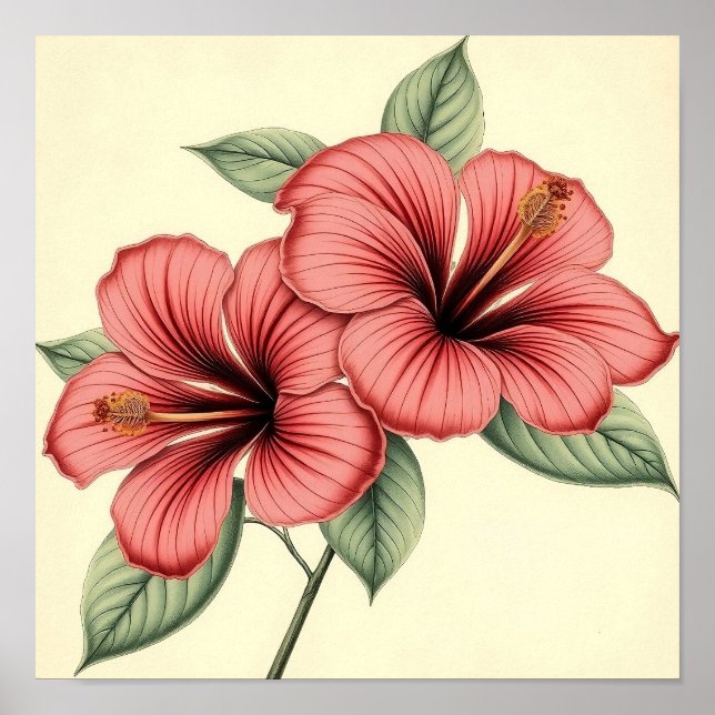 Póster Hibisco Vintage sobre Papel Desgastado (Frente)