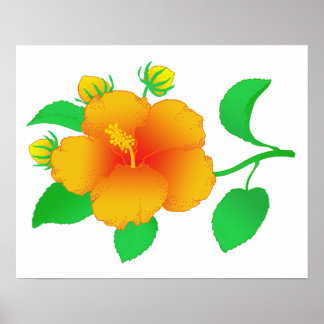Póster Hibiscus