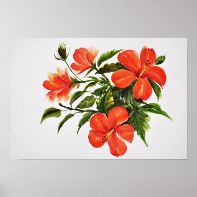 Póster Hibiscus (Frente)