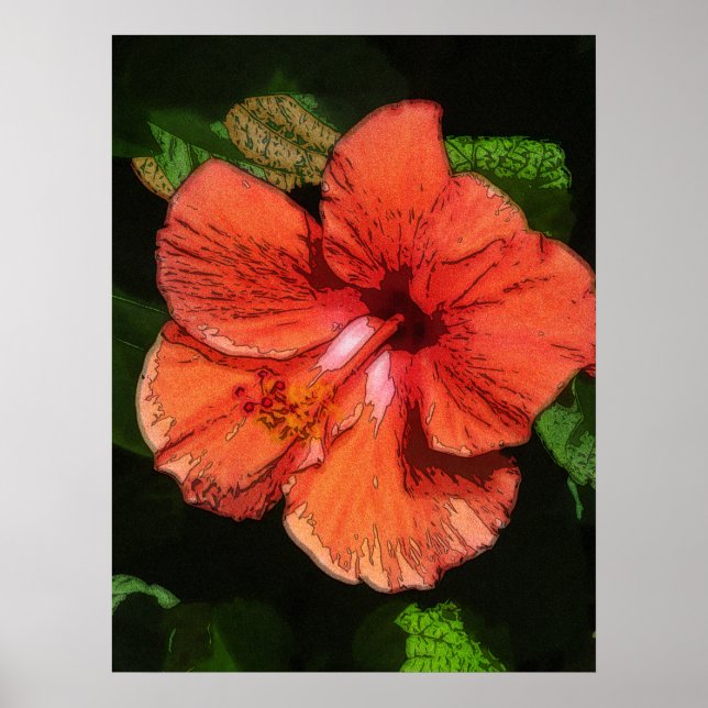 Póster Hibiscus 424 flor roja tropical (Frente)