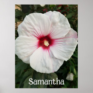 Póster Hibiscus blanco personalizable con centro rosado c