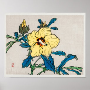 Póster Hibiscus de Kōno Bairei (1844-1895)