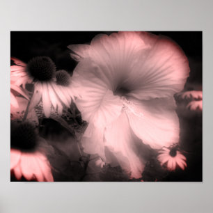 Póster Hibiscus Flor Negro Y Blanco Tintado