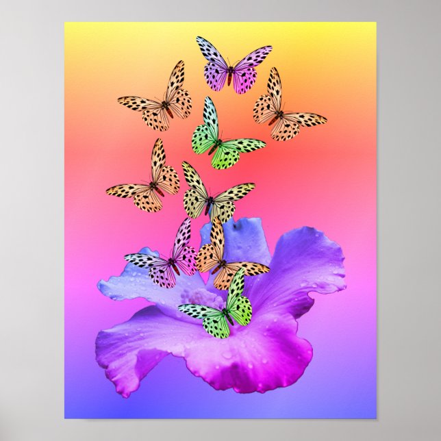 Póster Hibiscus Flower And Colorful Butterflies  (Frente)