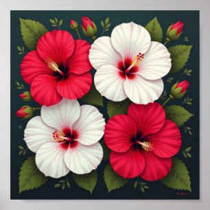 Póster Hibiscus Flowers