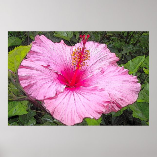 Póster Hibiscus Print (Frente)