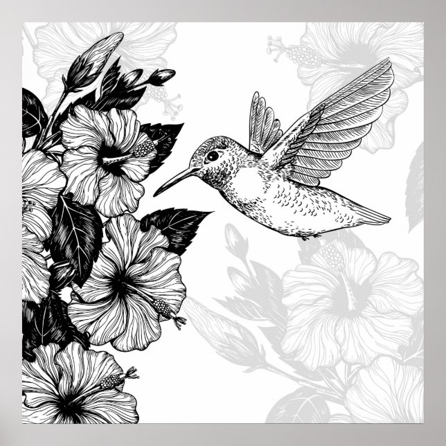 Póster Hibiscus y colibrí (Frente)