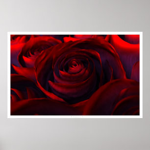 Póster Híbrido (ancho)