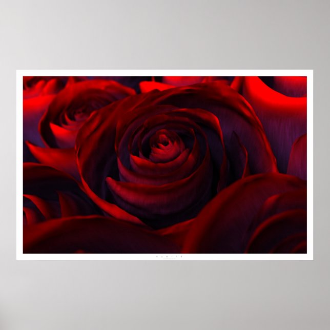 Póster Híbrido (ancho) (Frente)