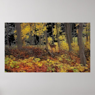 Póster Hidden , poster