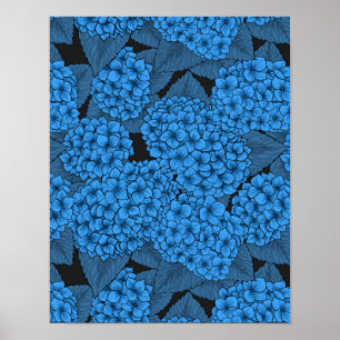 Póster Hidrangea azul