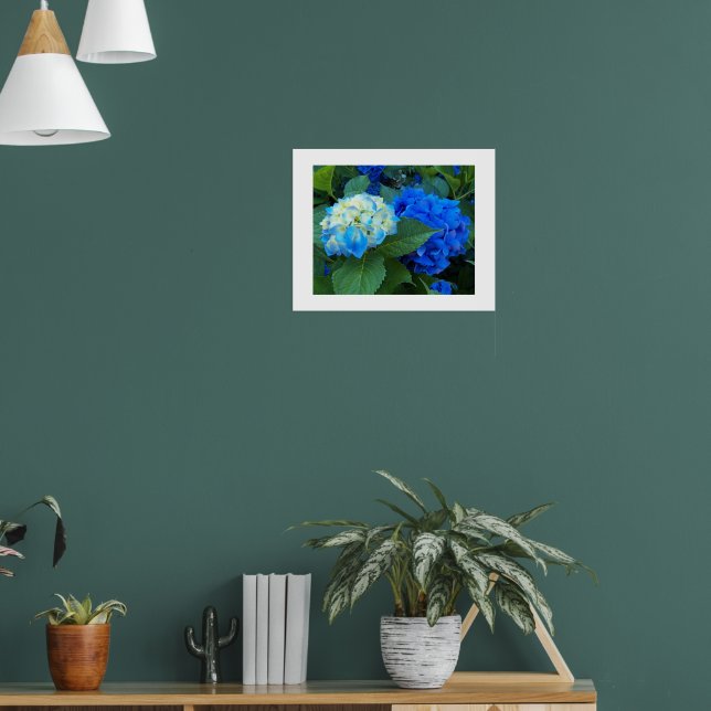 Póster Hidrangea Azul Blooms Fotografía Floral (Salón 1)