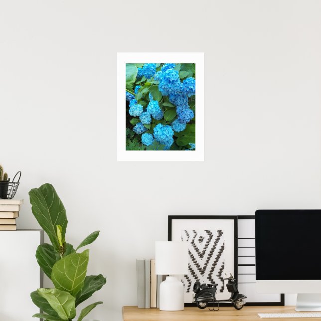 Póster Hidrangea Azul Blooms Fotografía Floral (Oficina en casa)