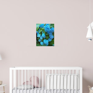 Póster Hidrangea Azul Blooms Fotografía Floral