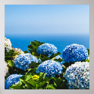 Póster Hidrangea azul en el rompecabezas del océano degra