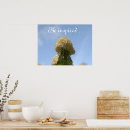 Póster Hidrangea Flores cielo azul