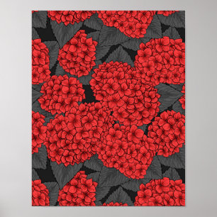 Póster Hidrangea roja