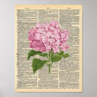 Póster Hidrangea rosa vintage en un diccionario vintage