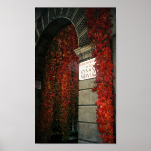 Póster hiedra roja en londres