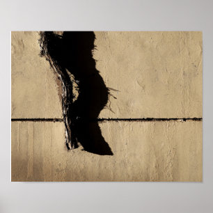 Póster Hiedra y Sombra