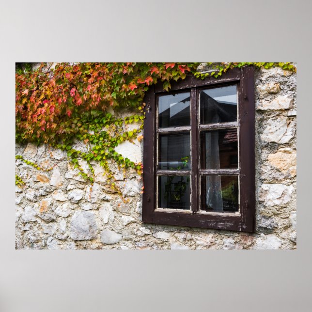 Póster Hiedra y ventana, Croacia (Frente)