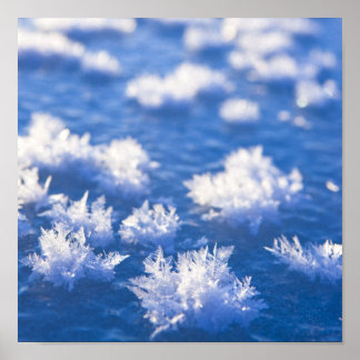 Póster Hielo de copo de nieve