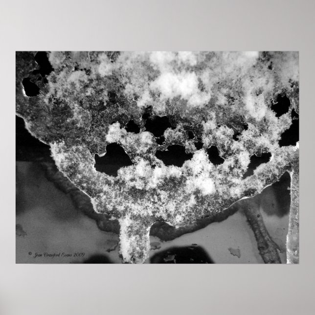 Póster Hielo de lacayo (Frente)