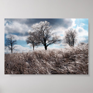 Póster Hielo de Prarie