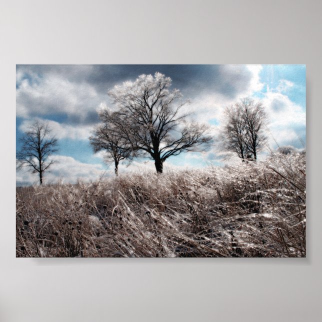 Póster Hielo de Prarie (Frente)
