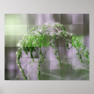 Póster Hielo En El Poster Natural Goldenrod