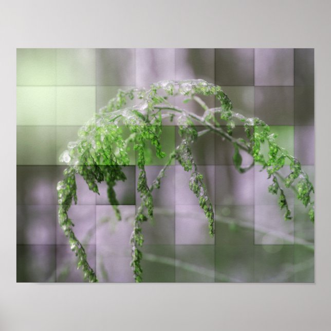 Póster Hielo En El Poster Natural Goldenrod (Frente)