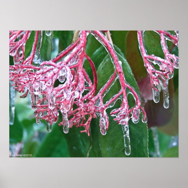 Póster "Hielo rosado" en Poster de tormenta de invierno (Frente)