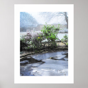 Póster Hielo y niebla