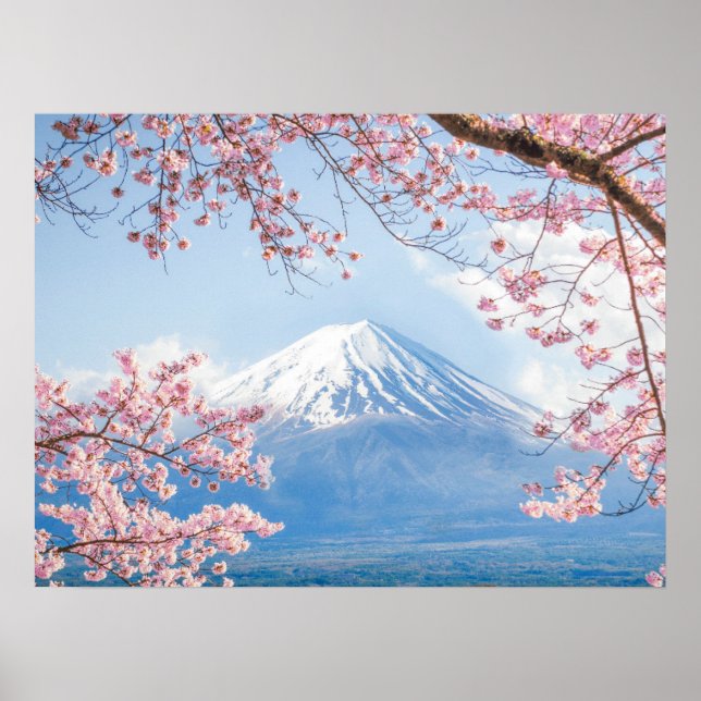 Póster Hielo y nieve | Florecimiento de cerezos Monte Fuj (Frente)