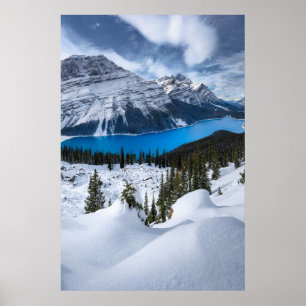 Póster Hielo y nieve   Lago Peyto, Rockies Canadienses