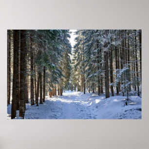Póster Hielo y nieve   Montañas Tatra, Polonia