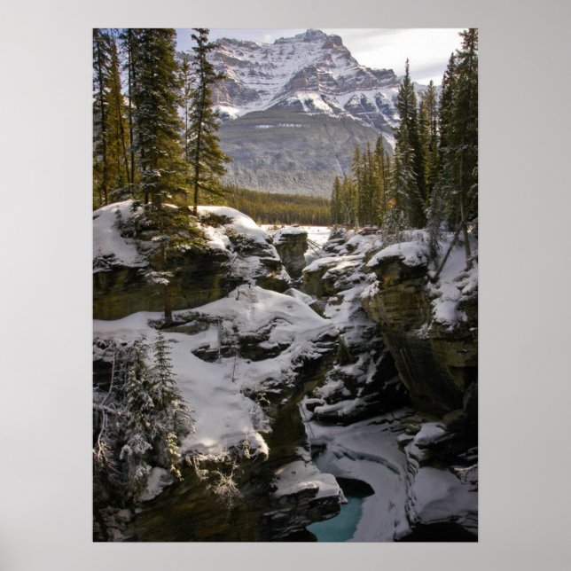 Póster Hielo y nieve | Parque nacional Jasper Alberta, Ca (Frente)